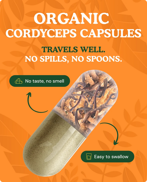 Organic Cordyceps Mushroom Capsules — 90 Count