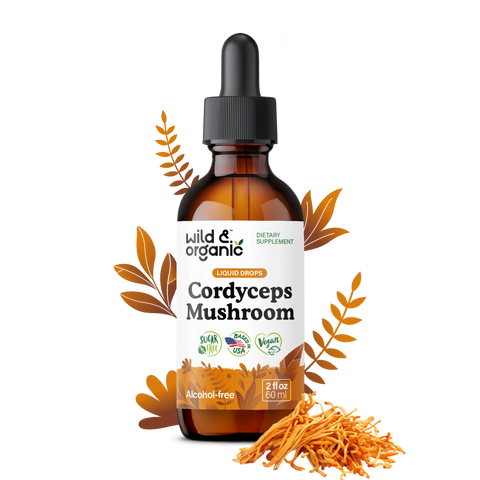 Cordyceps Extract