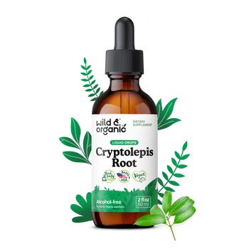 Cryptolepis Root Tincture - 2 fl.oz. Bottle