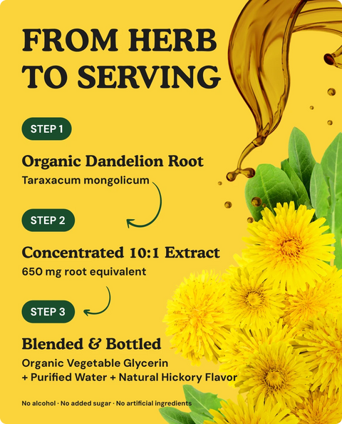 Organic Dandelion Root Liquid Drops - 4 fl. oz.