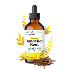 Dandelion_Root_4_fl_3x_2b6208e