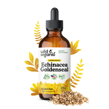 Echinacea Goldenseal Drops