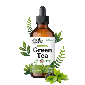 Green Tea Extract