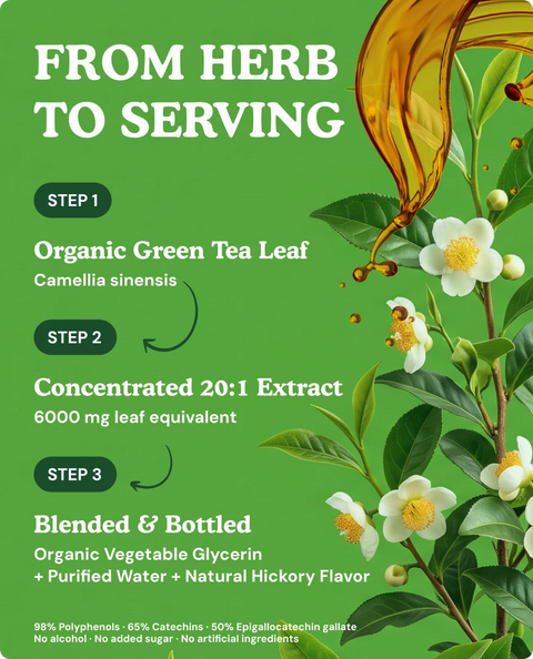 Organic Green Tea Extract Liquid Drops - 2 fl. oz.