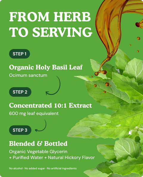 Organic Holy Basil Tincture - 4 fl. oz.