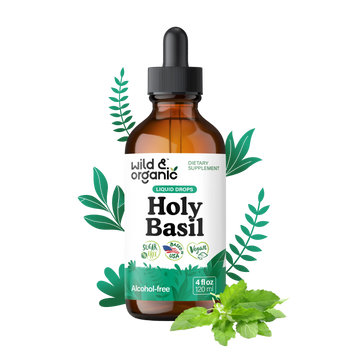 Holy Basil Extract