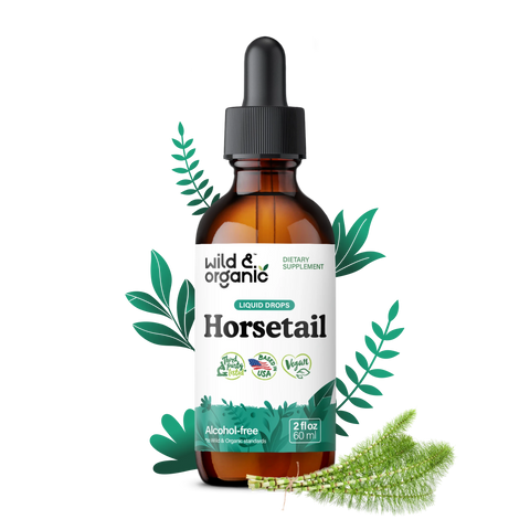 Horsetail Extract