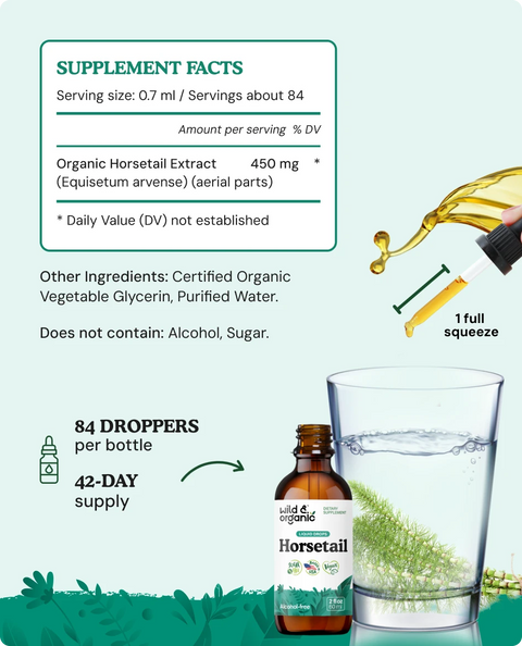 Horsetail Extract supplement facts