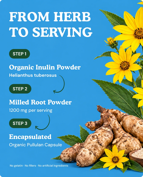 Organic Inulin Capsules — 90 Count