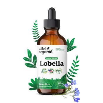 Lobelia Tincture - 4 fl.oz. Bottle