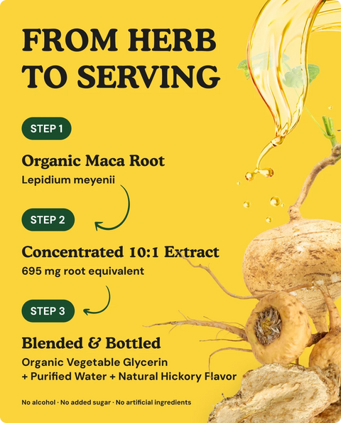 Organic Maca Root Tincture - 2 fl. oz.