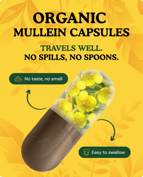 Organic Mullein Leaf Capsules — 90 Count