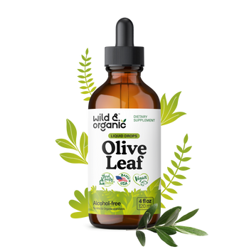 Olive Leaf Tincture - 4 fl.oz. Bottle