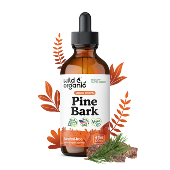 Pine Bark Tincture - 4 fl.oz. Bottle