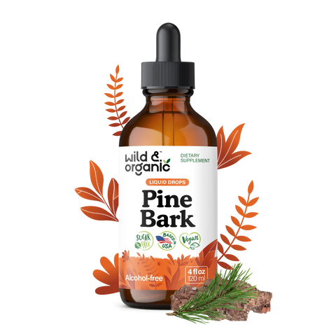 Pine Bark Extract