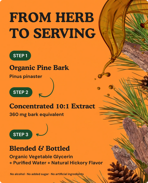 Organic Pine Bark Extract Tincture - 4 fl. oz.