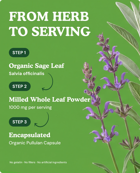 Organic Sage Capsules — 90 Count
