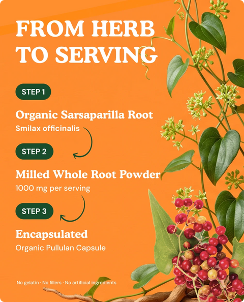 Organic Sarsaparilla Root Capsules — 90 Count