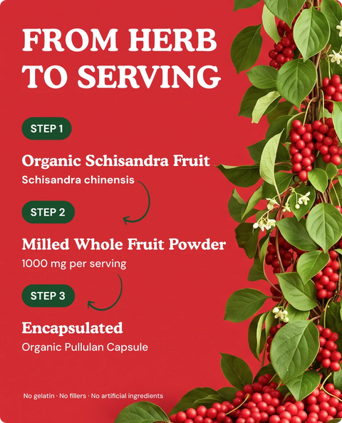 Organic Schisandra Capsules — 90 Count