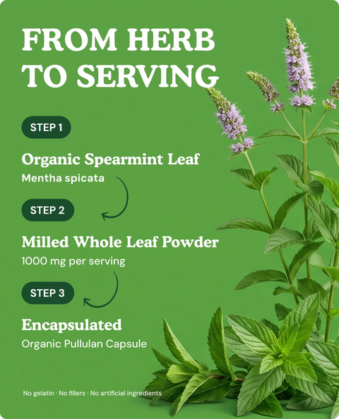 Organic Spearmint Leaf Capsules — 90 Count