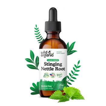 Stinging Nettle Root Tincture - 2 fl.oz. Bottle