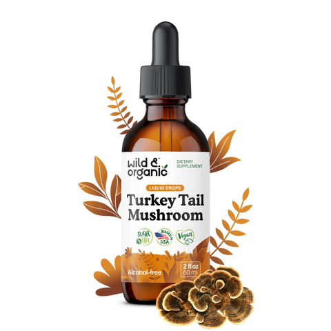 Turkey Tail Tincture