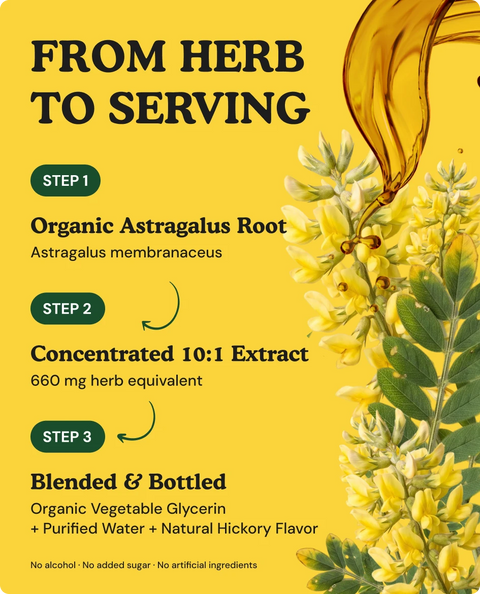 Organic Astragalus Root Tincture - 2 fl. oz.