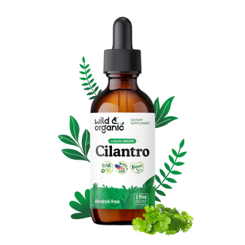 Cilantro Extract