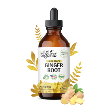 Ginger Root Tincture - 4 fl.oz. Bottle