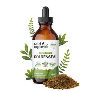 Goldenseal Tincture - 4 fl.oz. Bottle
