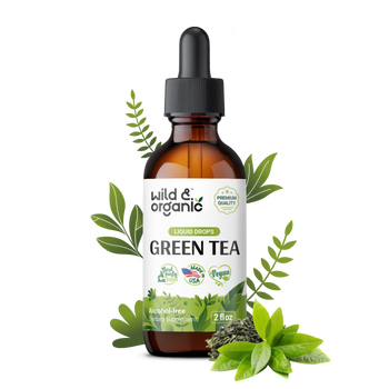 Green Tea Tincture - 2 fl.oz. Bottle