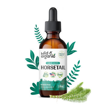 Horsetail Tincture - 2 fl.oz. Bottle