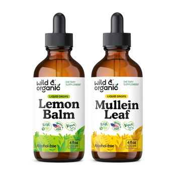 Lemon Balm & Mullein Bundle