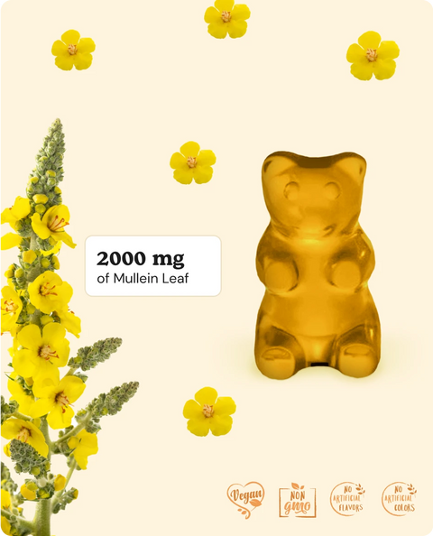 Mullein leaf gummies formula