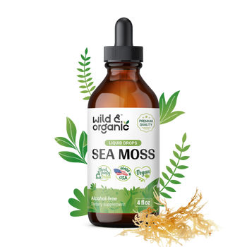 Sea Moss Tincture - 4 fl.oz. Bottle