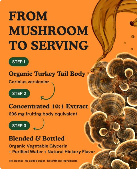 Organic Turkey Tail Mushroom Liquid Drops - 2 fl. oz.