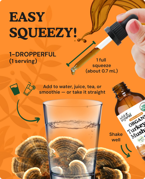 Organic Turkey Tail Mushroom Liquid Drops - 4 fl. oz.