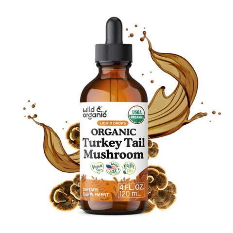 Organic Turkey Tail Mushroom Liquid Drops - 4 fl. oz.